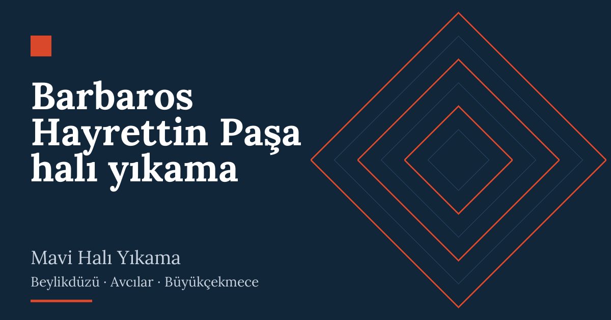 Barbaros Hayrettin Paşa halı yıkama | Mavi Halı Yıkama