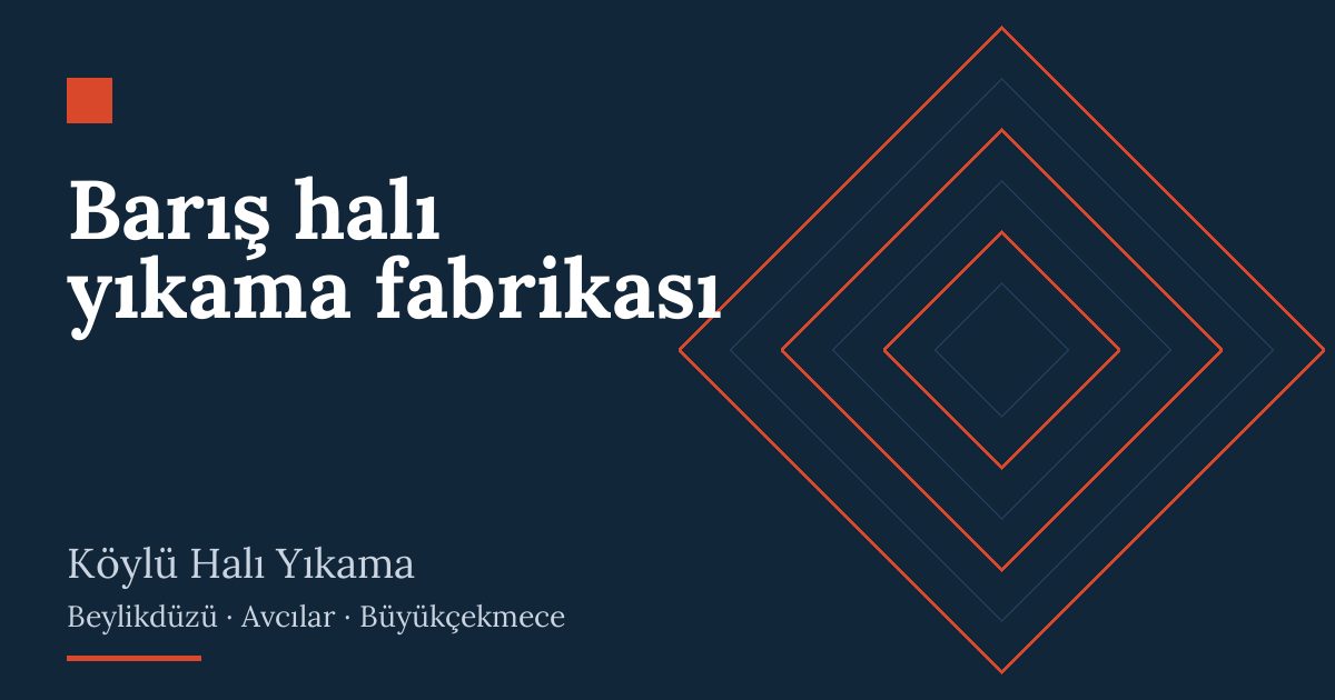Barış halı yıkama fabrikası – hizmet özeti