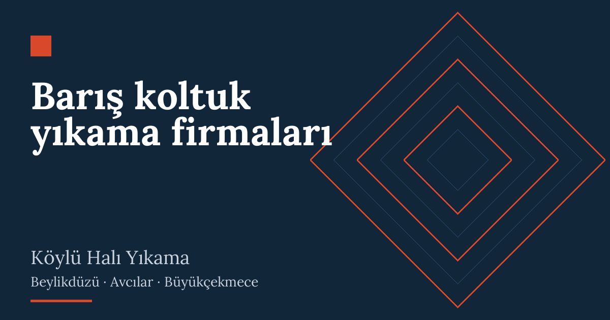 Barış koltuk yıkama firmaları: evde yıkama