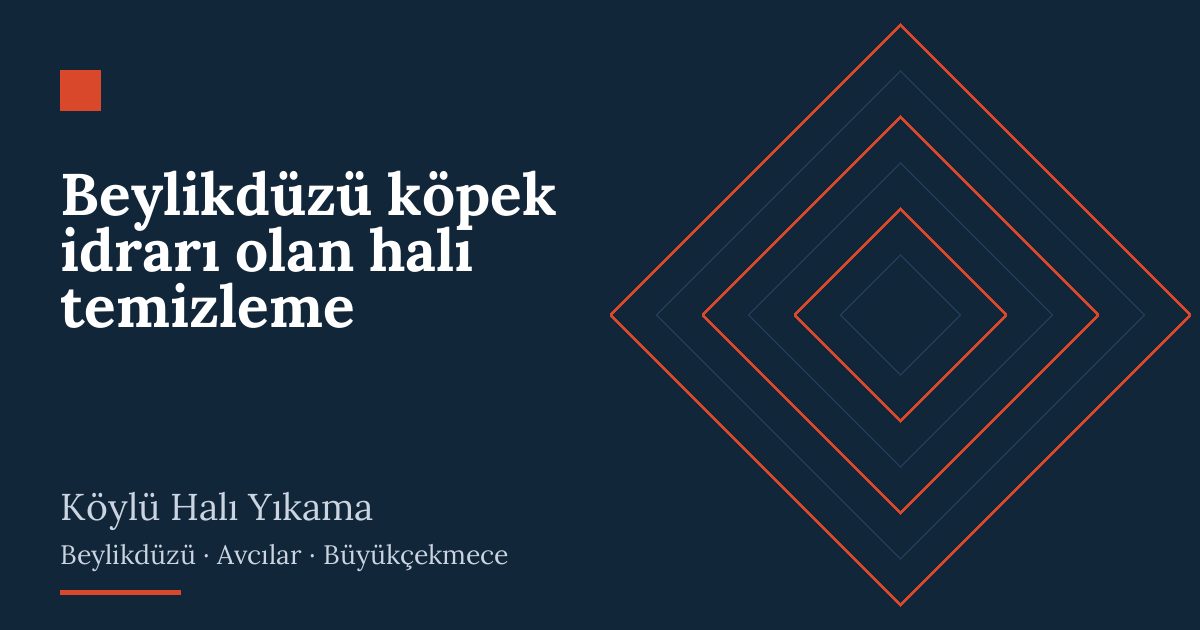 Beylikdüzü köpek idrarı olan halı temizleme hizmeti