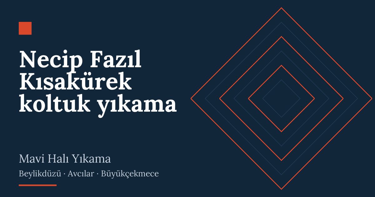 Necip Fazıl Kısakürek koltuk yıkama | Mavi Halı Yıkama