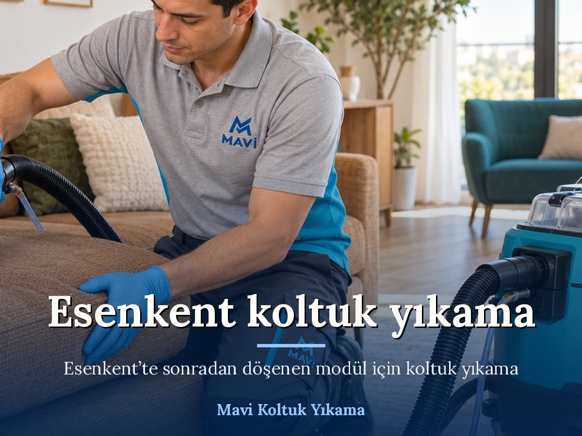 Mavi Halı Yıkama Esenyurt koltuk yıkama hizmeti