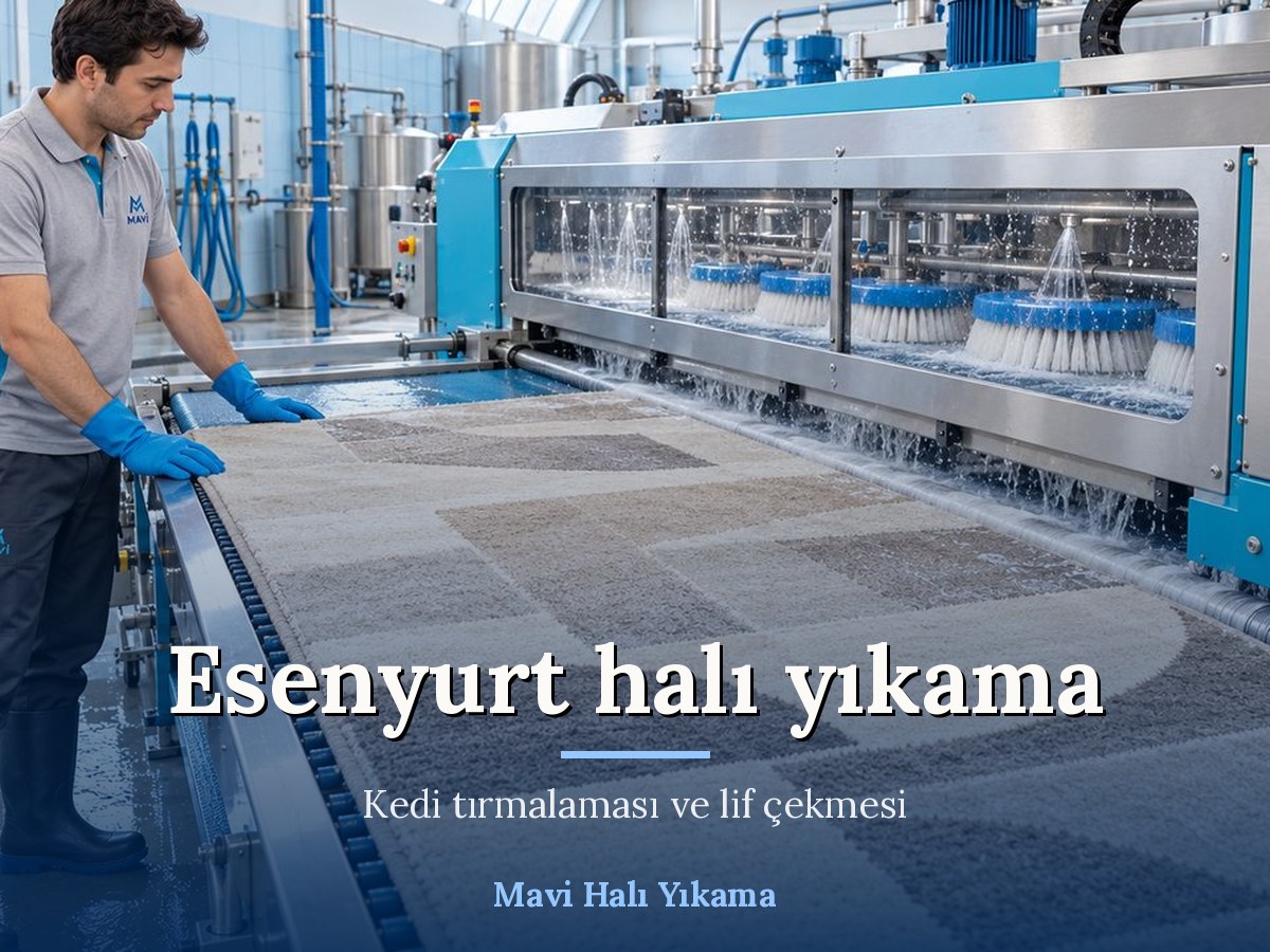 Mavi Halı Yıkama Esenyurt halı yıkama hizmeti