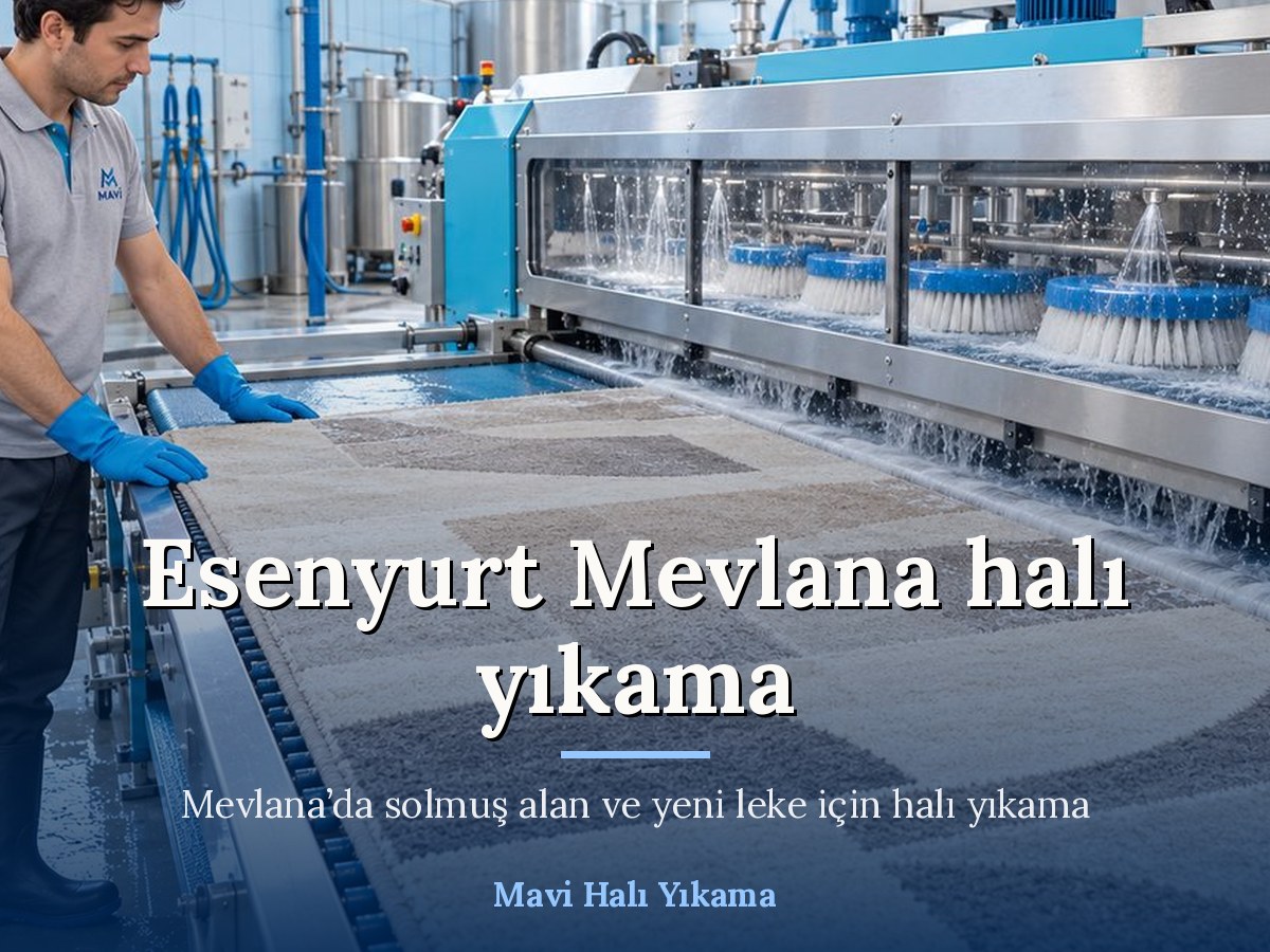 Mavi Halı Yıkama Esenyurt halı yıkama hizmeti