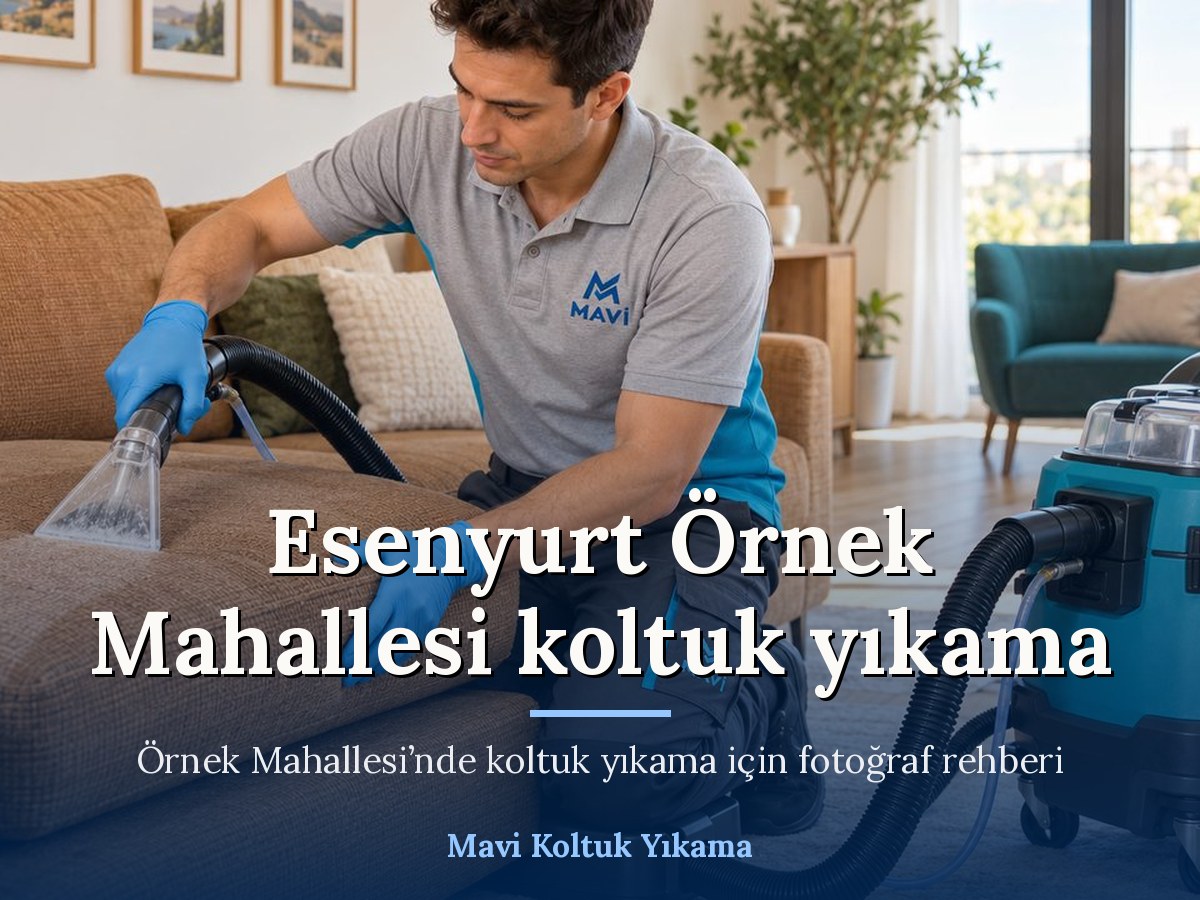 Mavi Halı Yıkama Esenyurt koltuk yıkama hizmeti