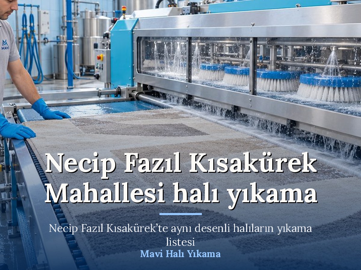 Mavi Halı Yıkama Esenyurt halı yıkama hizmeti