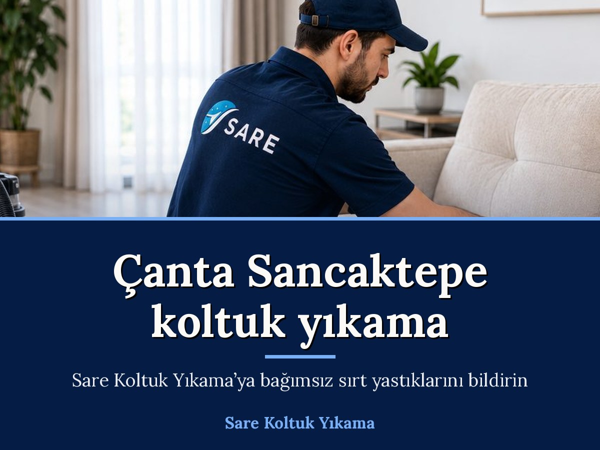 Sare Halı Yıkama Büyükçekmece koltuk yıkama hizmeti