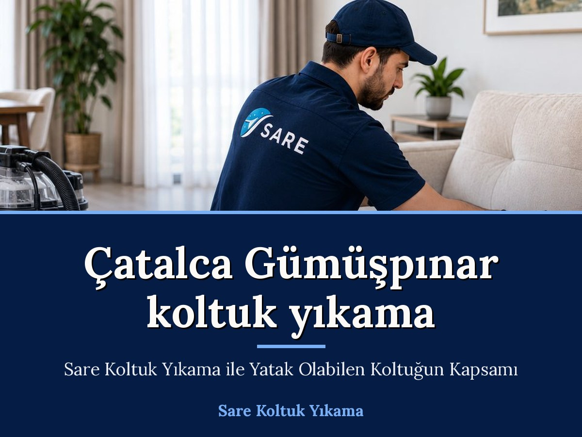 Sare Halı Yıkama Büyükçekmece koltuk yıkama hizmeti