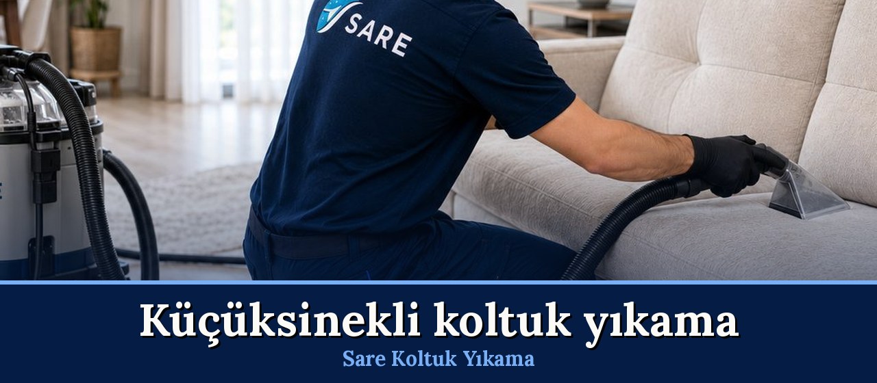 Küçüksinekli Koltuk Yıkama hizmeti